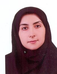 وکیل مینو  محمدی