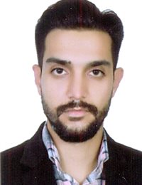 وکیل سیدامیرمحمد عربی