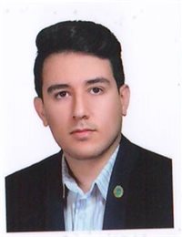وکیل سید امیرمهدی هاشمی