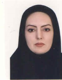 وکیل بی گرد یوسف زاده
