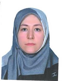 وکیل زینب مالکی