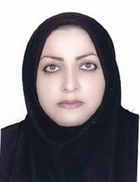 وکیل اعظم قارزی