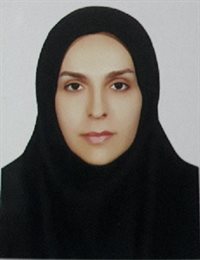 وکیل ویدا میرزایی