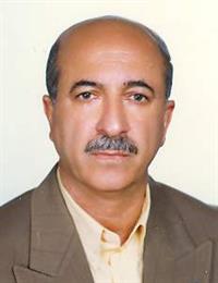 وکیل محمد رحیمی ها