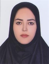 وکیل پریسا حسین زاده