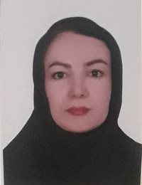 وکیل باران امیری
