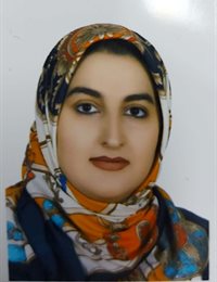 وکیل عاطفه سیدین بروجنی