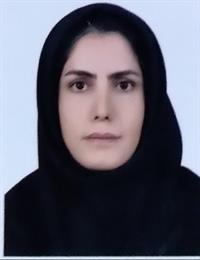 وکیل نرگس گرجی