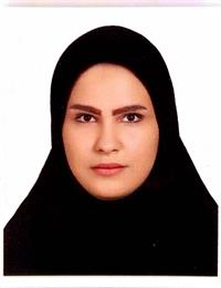 وکیل نگین ملائی