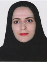 وکیل مریم میر عزیزسی