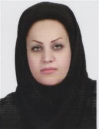 وکیل نیلگون دائی زاده 