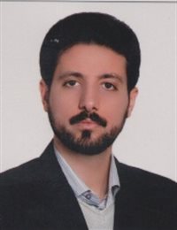 وکیل امیر محمدی
