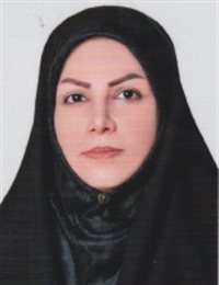 وکیل مریم صارمی پور
