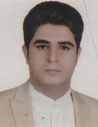 وکیل محمد  رجبی