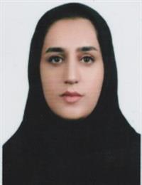 وکیل شراره رضایی