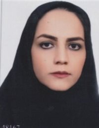 وکیل مهسا کرمی