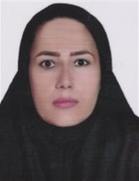 وکیل ریزان لطفی