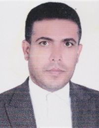 وکیل مجتبی کارخانه