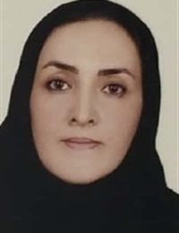 وکیل مریم صفار هاشمی