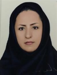 وکیل محبوبه محمودی میمند