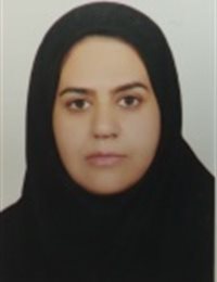 وکیل ساره پایداری