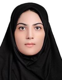 وکیل شایسته سالاری