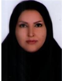 وکیل اشرف علیخانی
