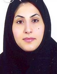 وکیل صباء بیرانوند