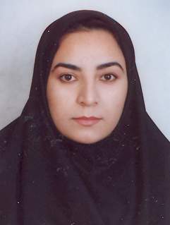 وکیل الهام رباط جزی