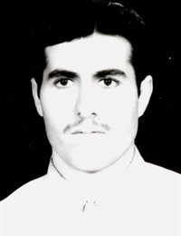 وکیل مصطفی شعبانی
