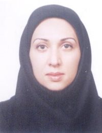 وکیل مدیا زیادبخش