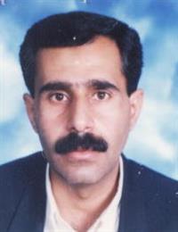 وکیل حمید صادقی