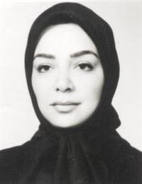 وکیل منیرالسادات هاشمی