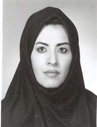 وکیل رقیه درویش آقاجانی
