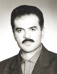 وکیل محمدحسین سرداری