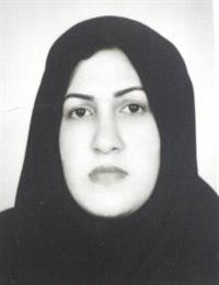 وکیل شراره پور رجبی طلمی