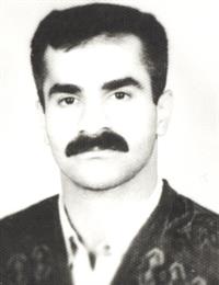 وکیل میکائیل کاوئی کانون مازندران