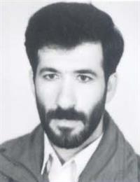 وکیل حمید گزی