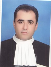 وکیل مجتبی مددالهی