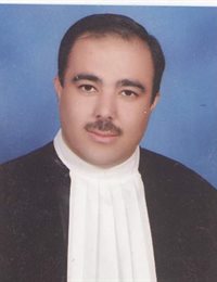 وکیل رضا روستا
