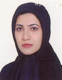 وکیل مینا سالمی