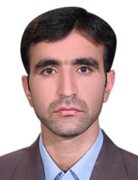 وکیل حسین جاوید