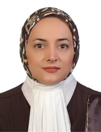وکیل هاله میرلو
