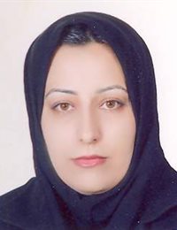 وکیل لیلا عزتی کامکار