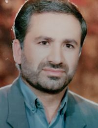 وکیل حسین محمدی