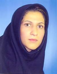 وکیل الهه عسگری