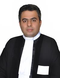 وکیل حمید لطفی