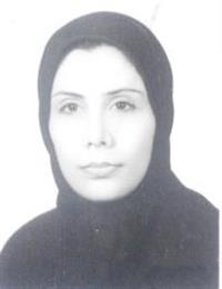وکیل نساء جامی