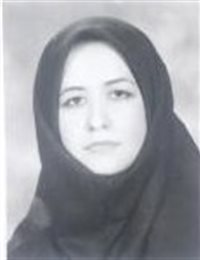 وکیل نورالهدی صدر