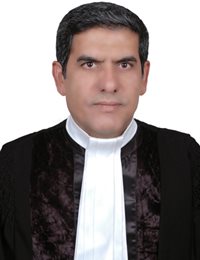 وکیل رضا کیا